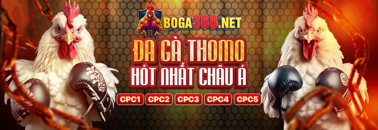 Hoàn trả hn88