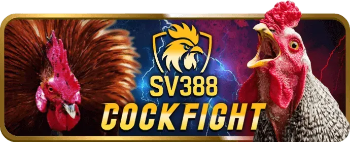 Cá cược thể thao hn88